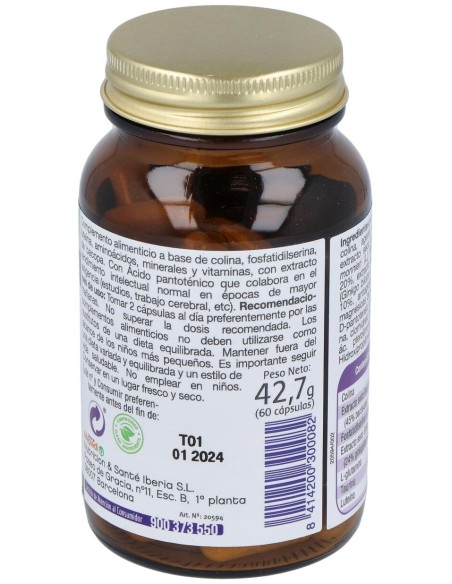 Mega Intelecto 60Cap.
