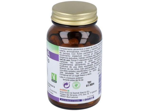 Mega Intelecto 60Cap.
