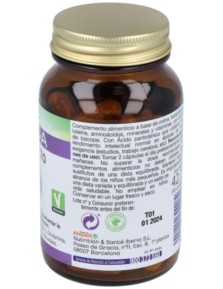 Mega Intelecto 60Cap.