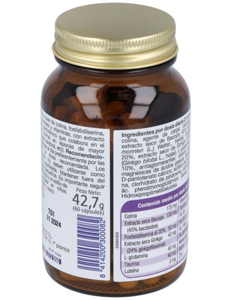 Mega Intelecto 60Cap.