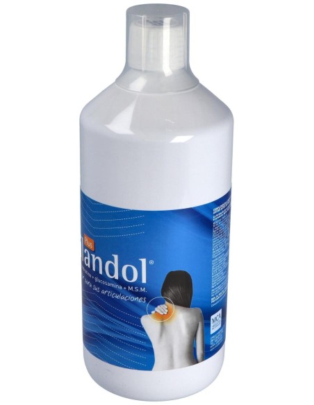 Mca Productos Naturales Silandol Plus 1000Ml