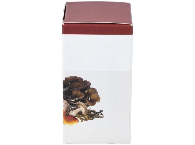 Inmunofungi 60Cap.