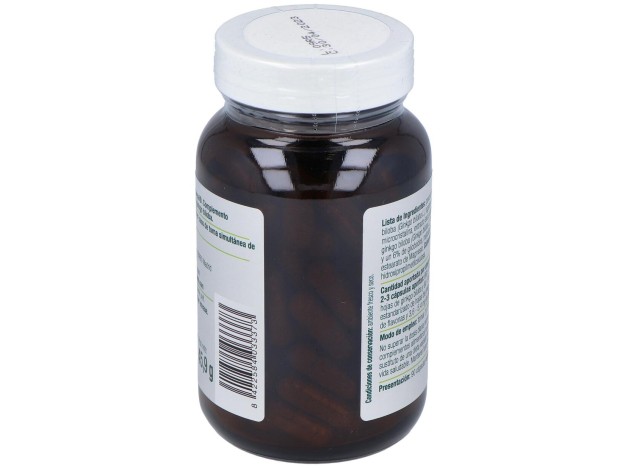 El Granero Integral Ginkgo Biloba 600Mg 90 Cáps
