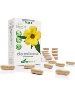 Cap.S 13 Damiana Xxi 30Cap.