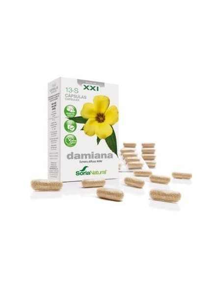 Cap.S 13 Damiana Xxi 30Cap.