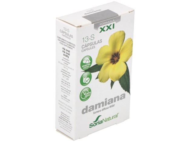 Cap.S 13 Damiana Xxi 30Cap.