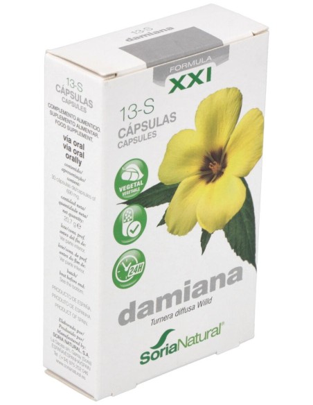 Cap.S 13 Damiana Xxi 30Cap.