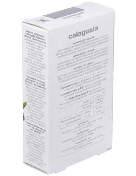 Calaguala 30 Caps Xxi Soria Natural