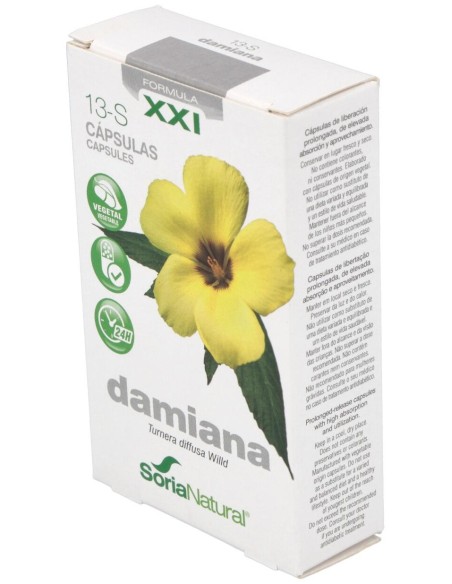 Cap.S 13 Damiana Xxi 30Cap.