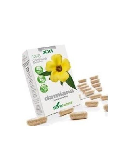 Cap.S 13 Damiana Xxi 30Cap.