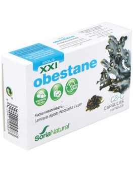 Cap.C-08 Obestane Xxi...
