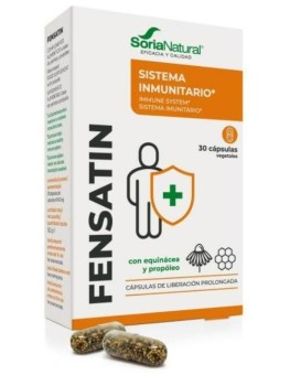 Cap.C-13 Fensatin Xxi...