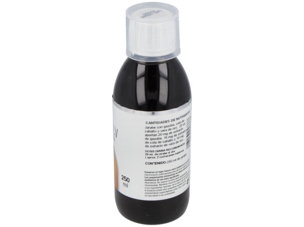 Disolv Renal Jarabe 250Ml.