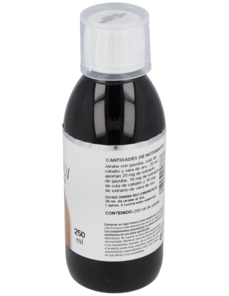 Disolv Renal Jarabe 250Ml.