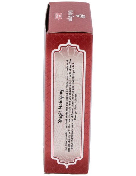 Radhe Shyam Henna Caoba Luminoso Polvo 100G
