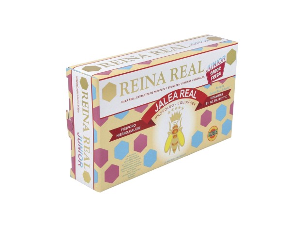 Reina Real Junior 20Amp.