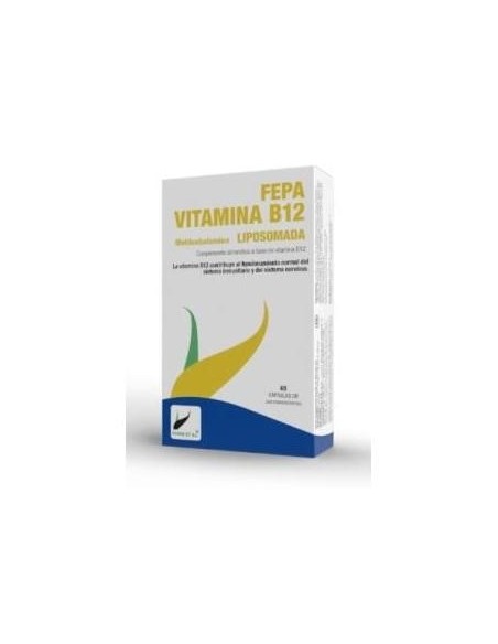 Fepadiet Fepa-Vitamina B12 Liposomada 40Caps