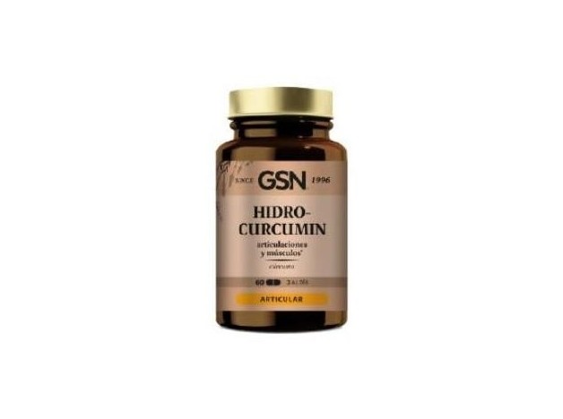 Gsn Hidrocurcumin 60Caps