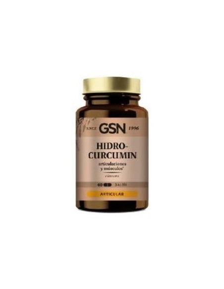 Gsn Hidrocurcumin 60Caps