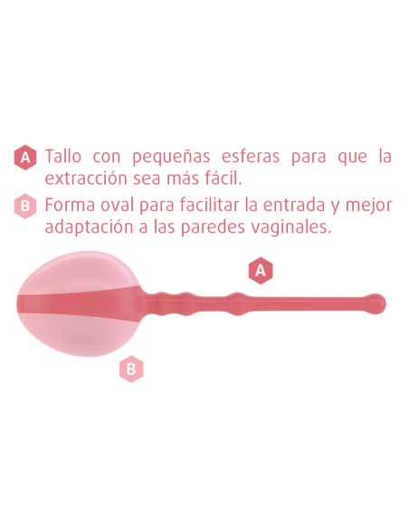 Enna Pelvic Ball
