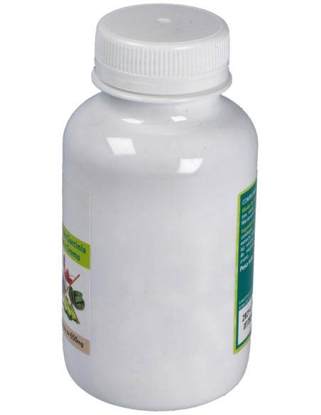 Sotya Café Verde + Garcinia + Chitosán + Cromo 650Mg 90Cáps