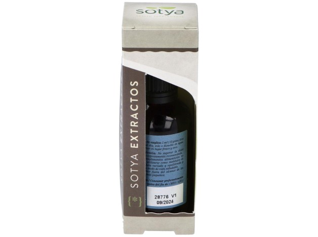 Extracto Ginkgo Biloba 50Ml.