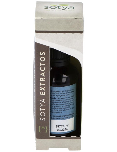 Extracto Ginkgo Biloba 50Ml.