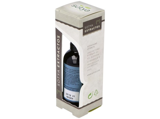 Extracto Ginkgo Biloba 50Ml.