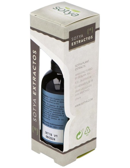 Extracto Ginkgo Biloba 50Ml.
