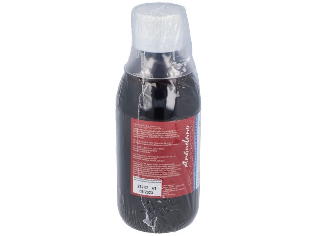 Sotya Arandano Rojo Concentrado 250Ml