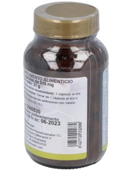 Ginkgo Biloba (24%)St 60Cap.