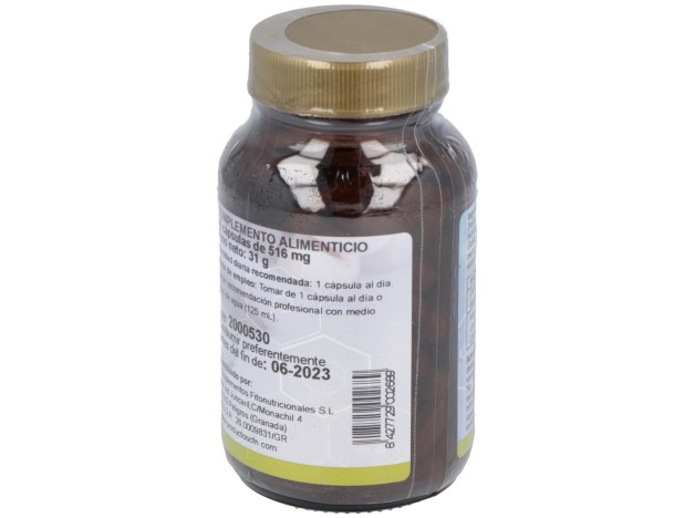Ginkgo Biloba (24%)St 60Cap.