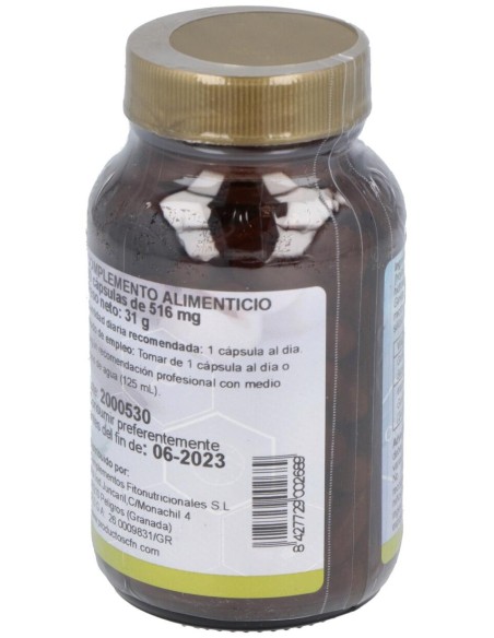 Ginkgo Biloba (24%)St 60Cap.
