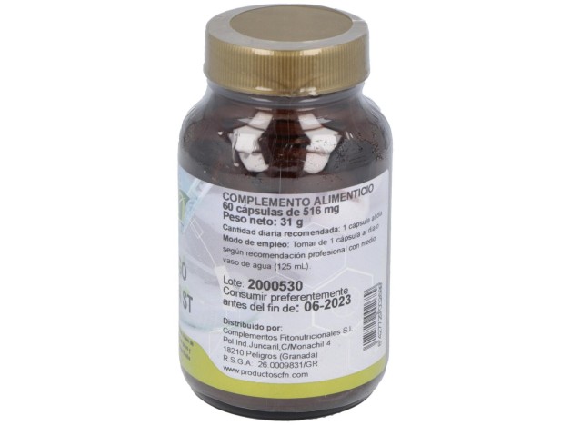 Ginkgo Biloba (24%)St 60Cap.