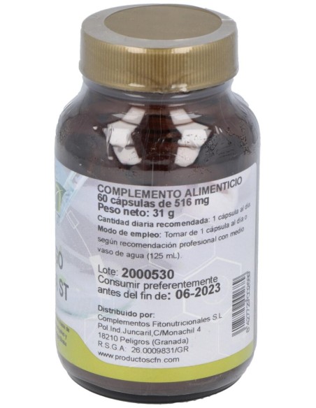 Ginkgo Biloba (24%)St 60Cap.