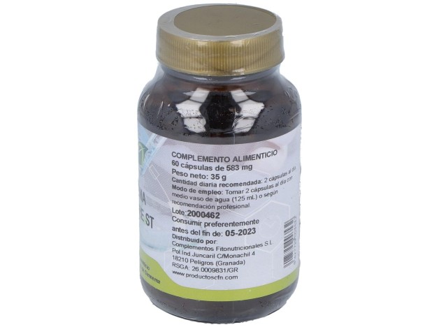 Gymnema Sylvestre St 60Cap.