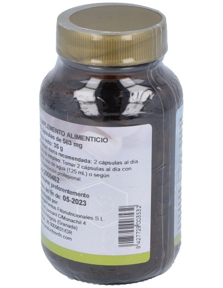 Gymnema Sylvestre St 60Cap.