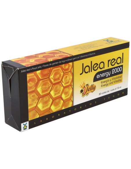 Tegor Energy 2000 Jalea Real 20Amp