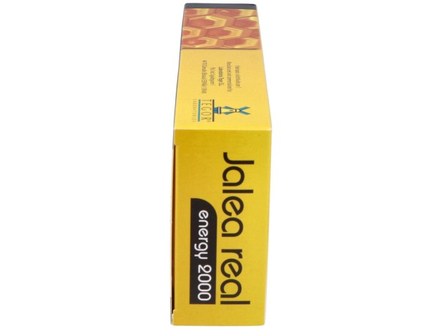 Tegor Energy 2000 Jalea Real 20Amp