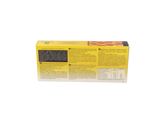 Tegor Energy 2000 Jalea Real 20Amp