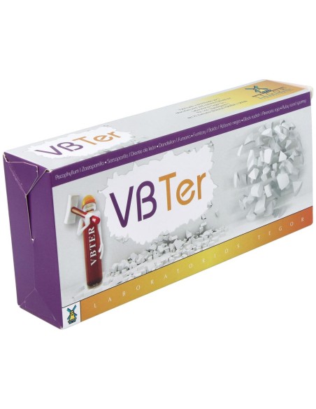 Tegor Vb Ter Rompepiedras Viales 20Viales