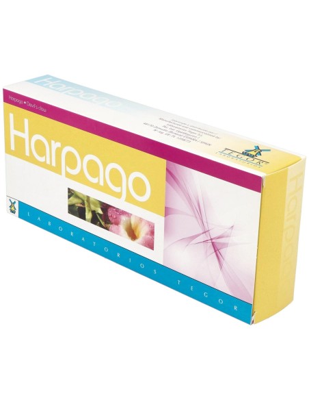 Tegor Harpago 20 Viales 10Ml