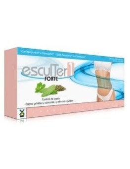 Tegor Esculter 1 Forte...