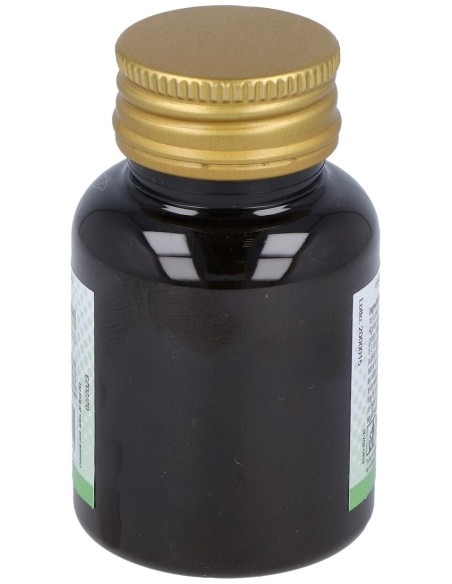 Carbon Vegetal 100Comp.