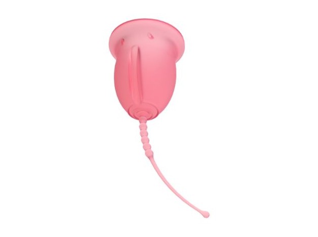 Enna Cycle Copa Menstrual T- S Starter Kit