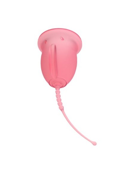 Enna Cycle Copa Menstrual T- S Starter Kit