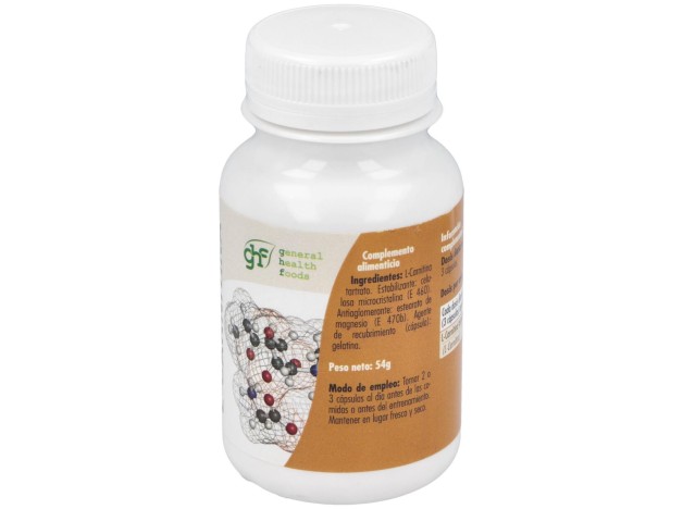 L-Carnitina 500Mg Caps. 90U