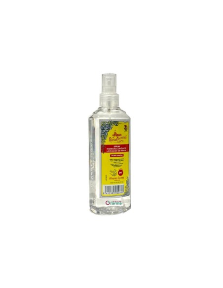 Alvarez Gómez Gel 300 ml Spray Hidroalcohólico