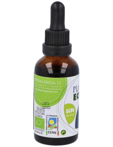 Ext. Llanten S/Al Eco 50Ml.
