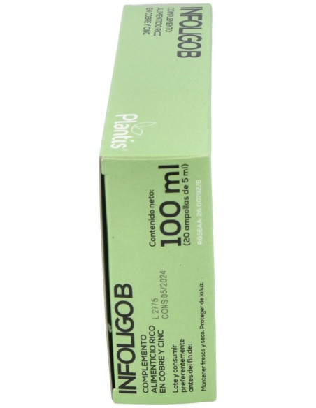 Artesania Agricola Infoligo B